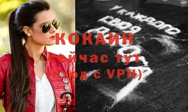 гидра Балахна