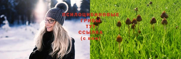 гидра Балахна