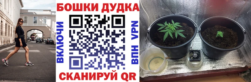 Каннабис THC 21%  Заречный 